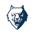 neftekhimik